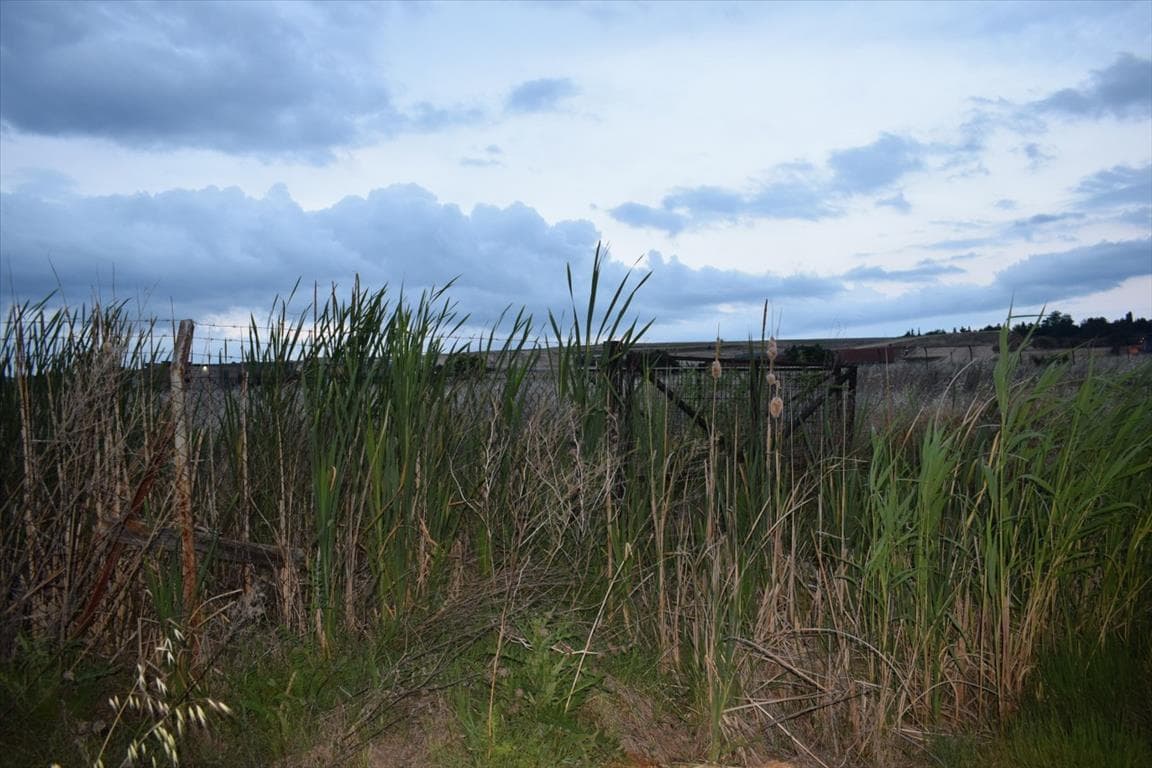 For Sale Land 5870 m² in Thessaloniki