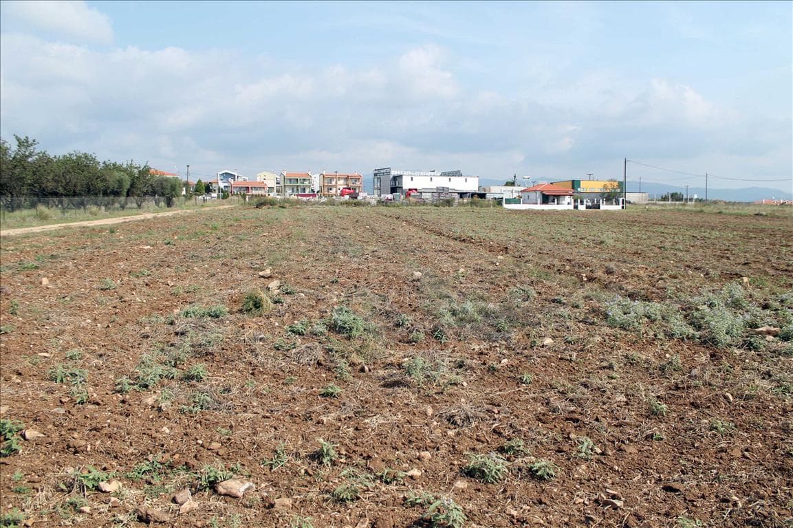 For Sale Land 1800 m² in Sithonia, Chalkidiki