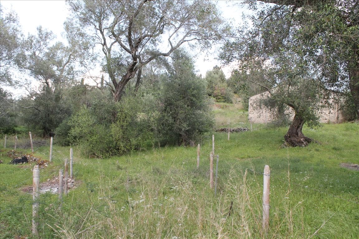 For Sale Land 4300 m² in Corfu