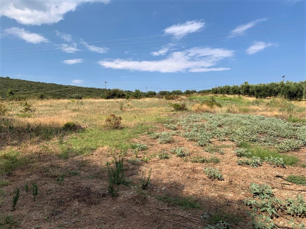 For Sale Land 5301 m² in Sithonia, Chalkidiki