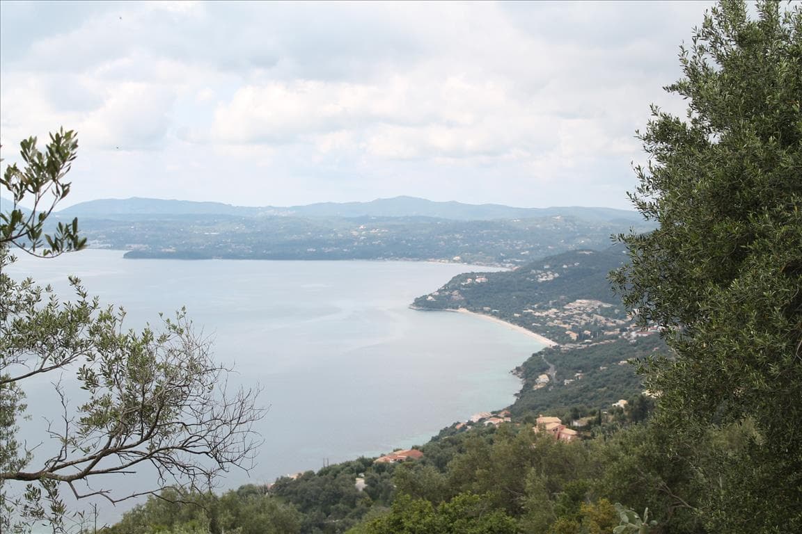For Sale Land 8000 m² in Corfu
