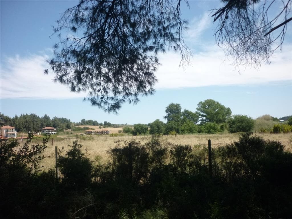 For Sale Land 4248 m² in Kassandra, Chalkidiki
