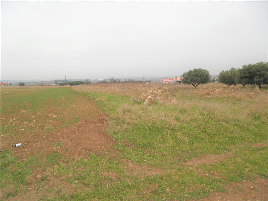 For Sale Land 4946 m² in Chalkidiki
