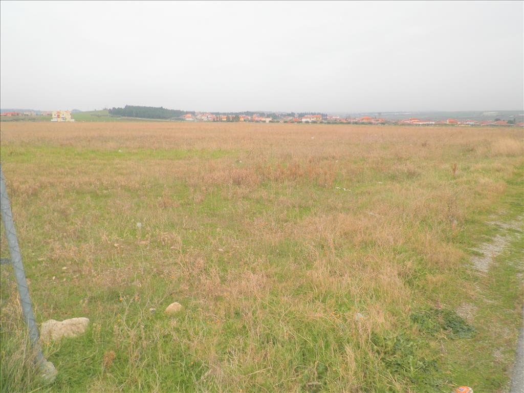 For Sale Land 4098 m² in Chalkidiki
