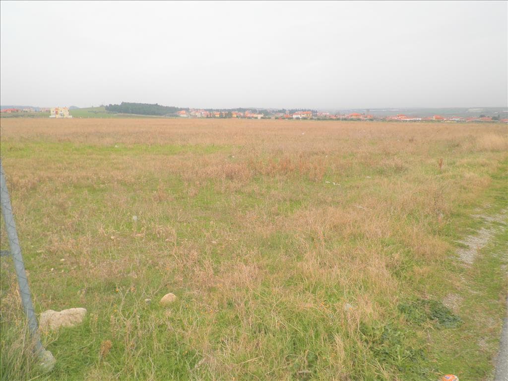 For Sale Land 5512 m² in Chalkidiki