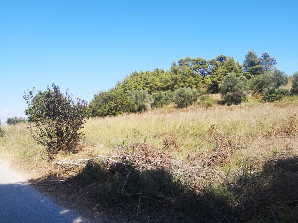 For Sale Land 3700 m² in Kassandra, Chalkidiki