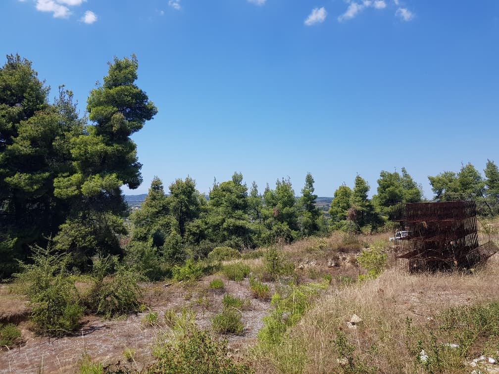 For Sale Land 11000 m² in Kassandra, Chalkidiki