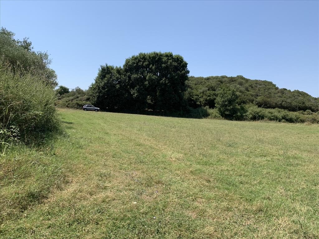 For Sale Land 6312 m² in Athos, Chalkidiki
