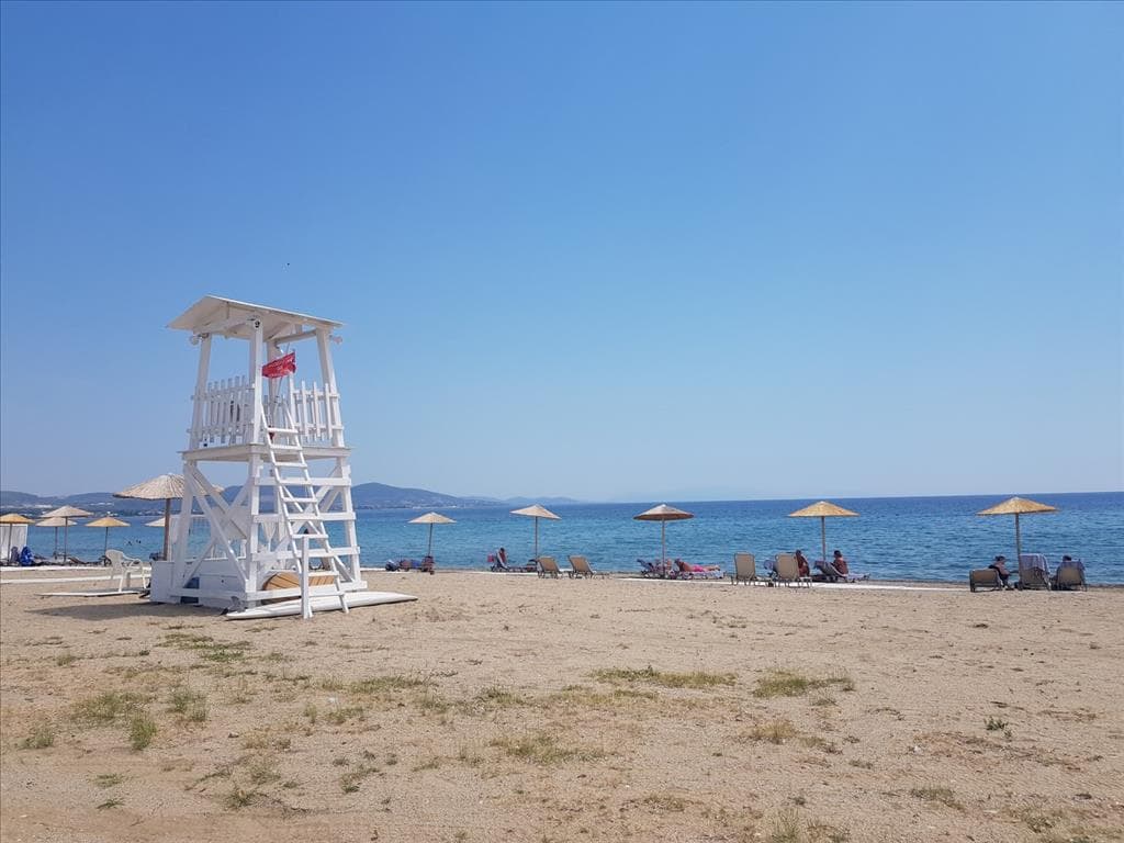 For Sale Land 8687 m² in Sithonia, Chalkidiki