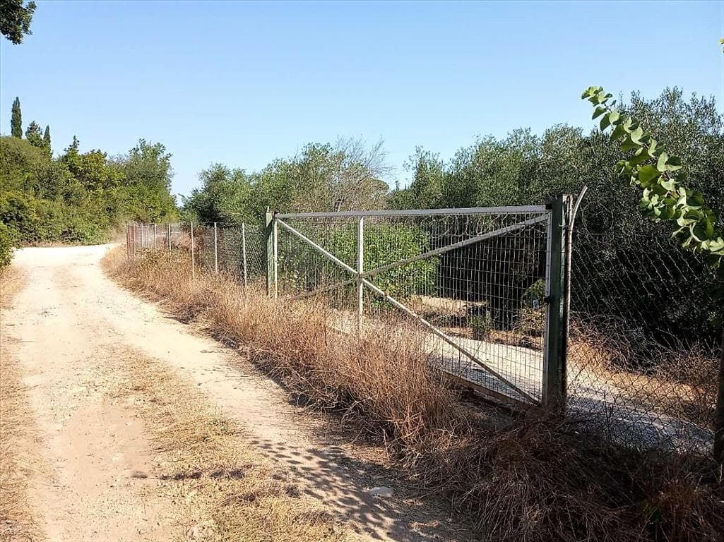 For Sale Land 4600 m² in Corfu