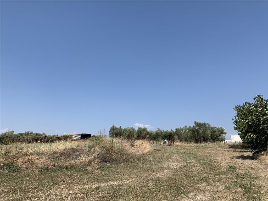 For Sale Land 7000 m² in the suburbs of Thessaloniki