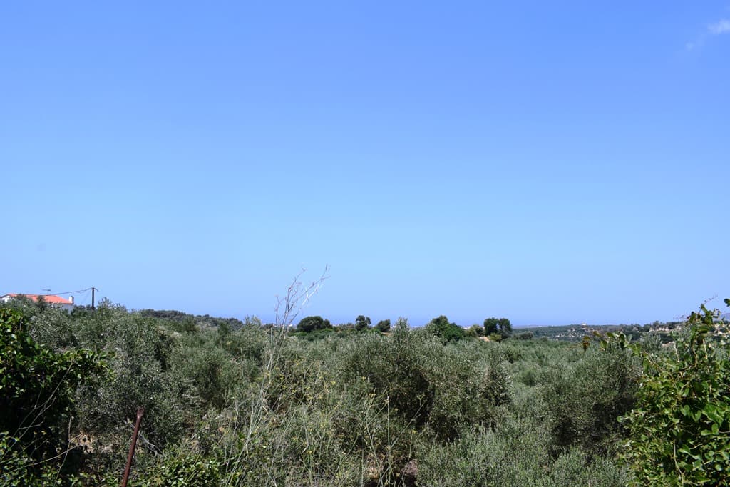 For Sale Land 11500 m² in Crete