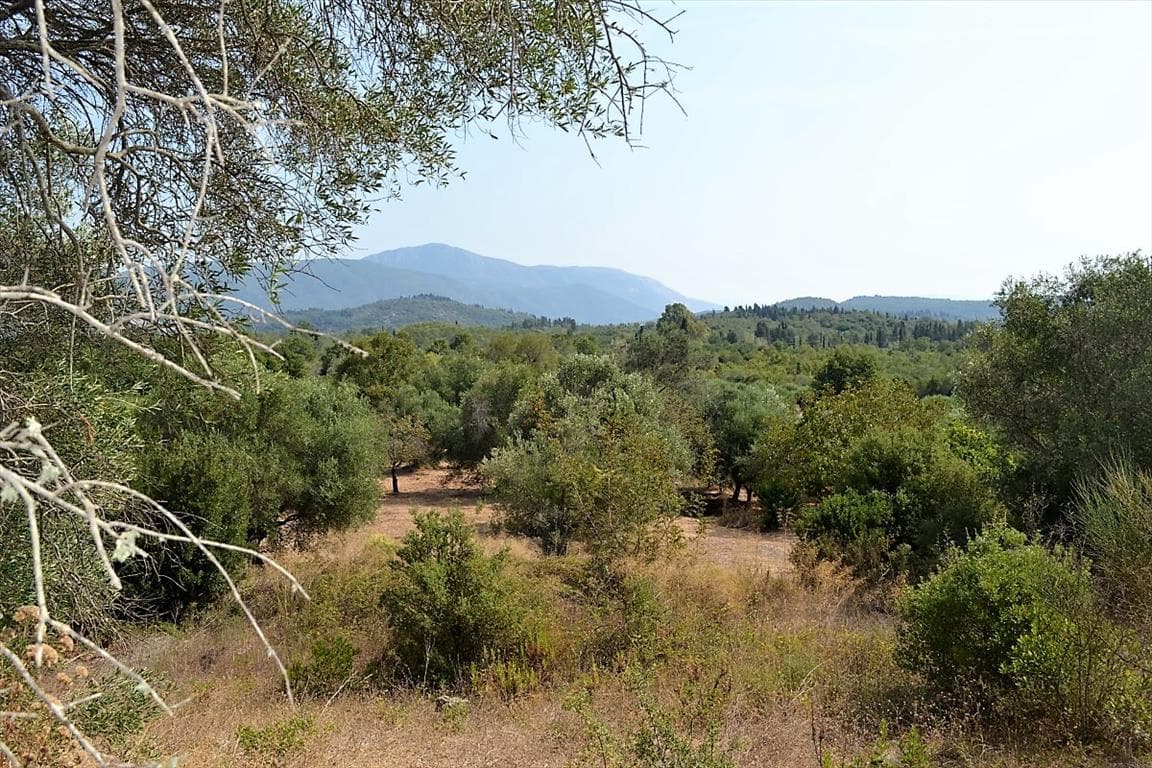 For Sale Land 30000 m² in Corfu