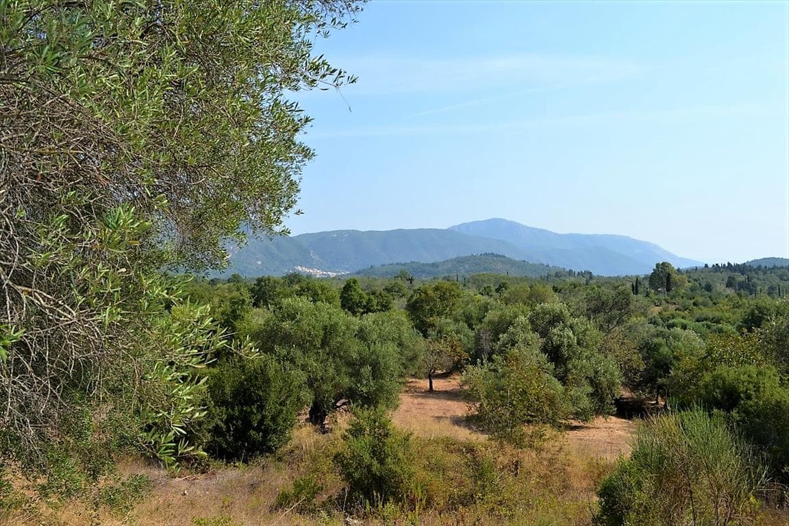 For Sale Land 30000 m² in Corfu