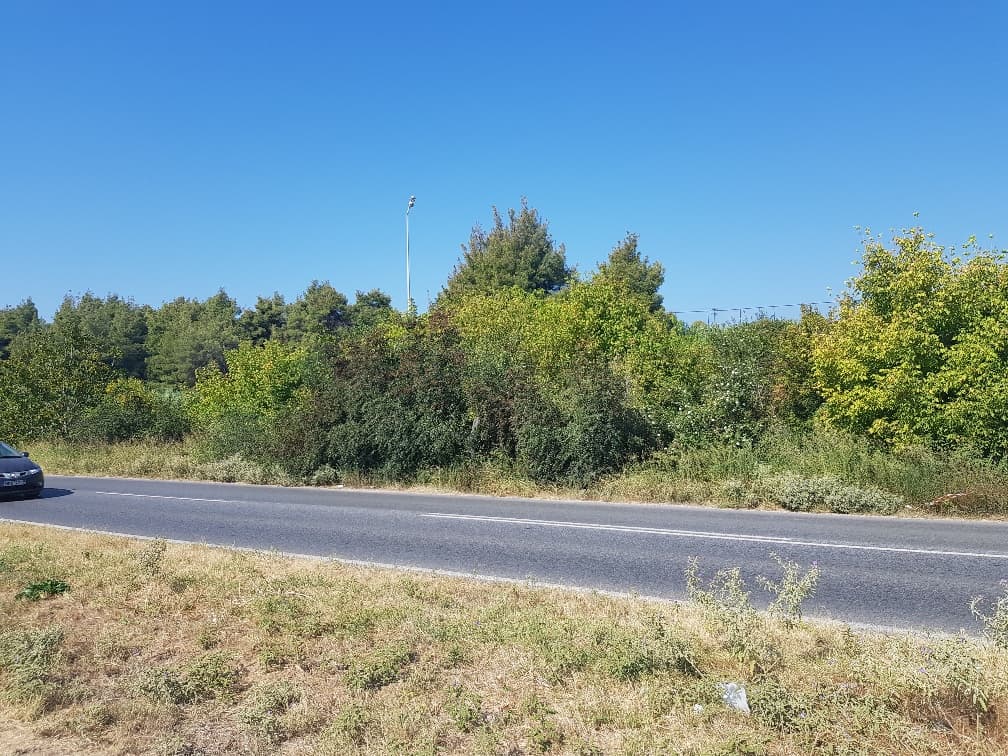 For Sale Land 1500 m² in Kassandra, Chalkidiki