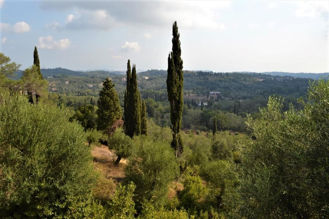 For Sale Land 3660 m² in Corfu