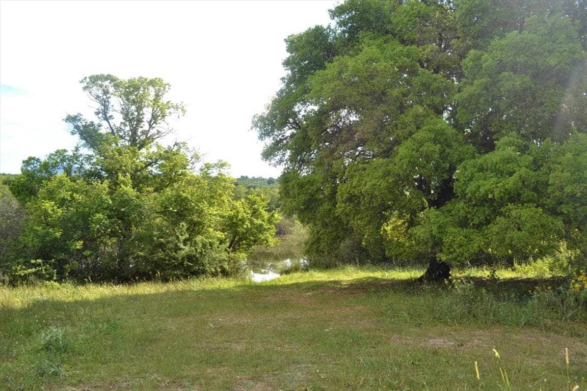 For Sale Land 72000 m² in Corfu