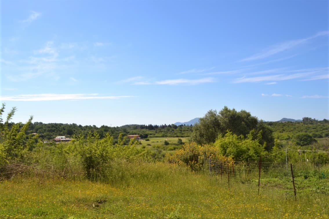 For Sale Land 12044 m² in Corfu