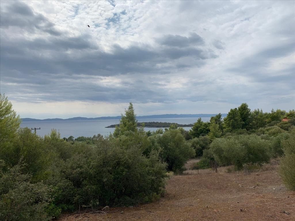 For Sale Land 12458 m² in Sithonia, Chalkidiki