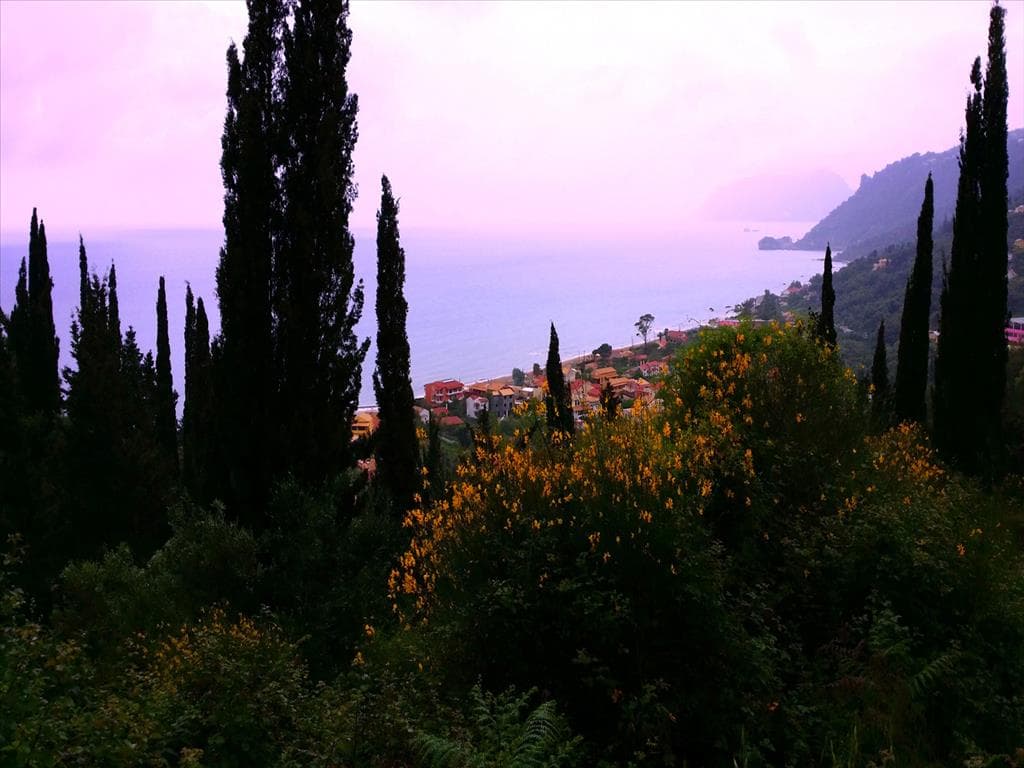 For Sale Land 3200 m² in Corfu