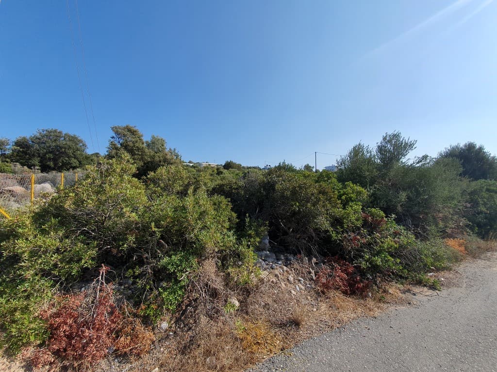 For Sale Land 5423 m² in Crete