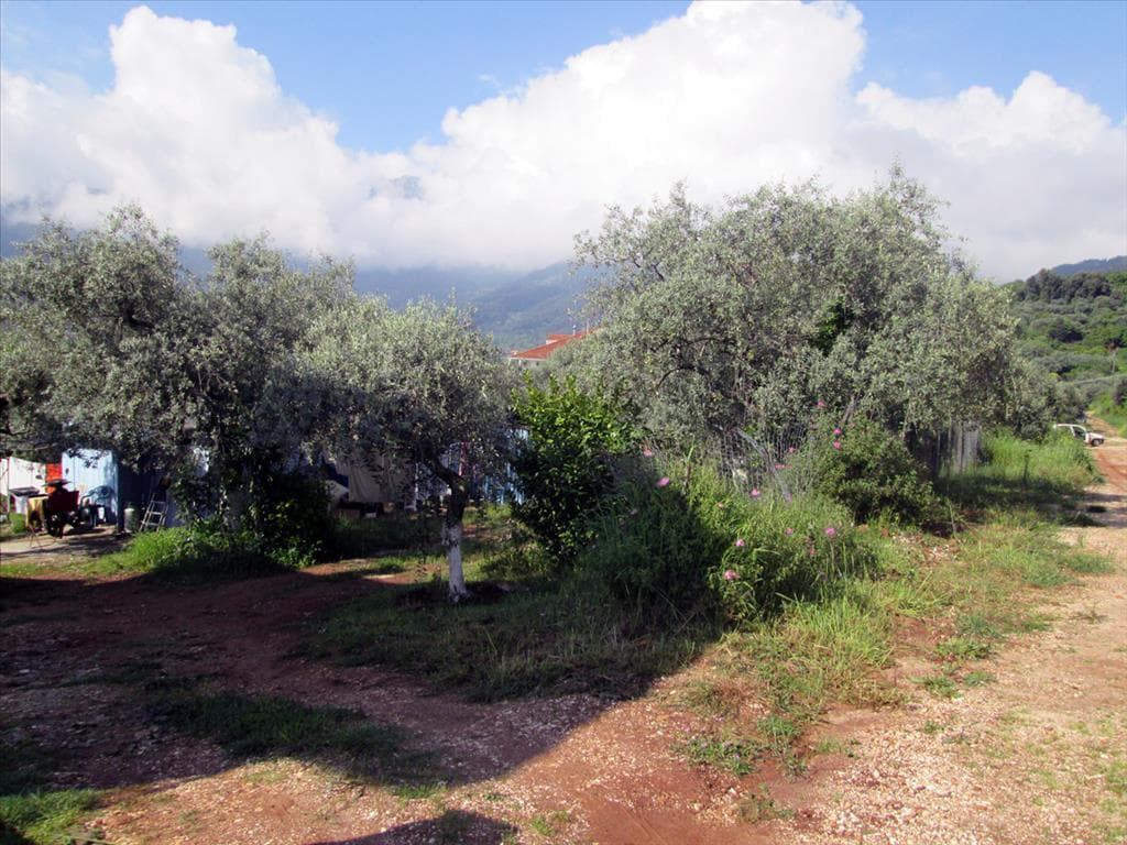 For Sale Land 400 m² on the island of Thassos