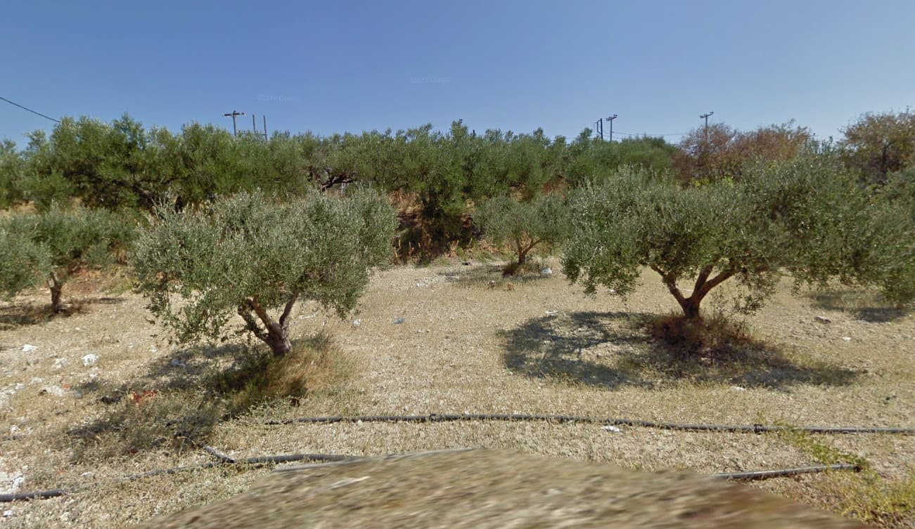 For Sale Land 1750 m² in Crete