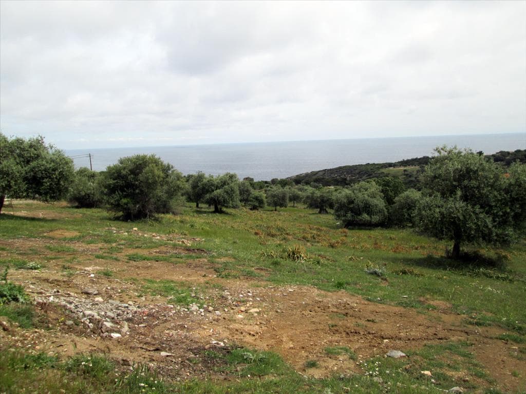 For Sale Land 4025 m² on the island of Thassos