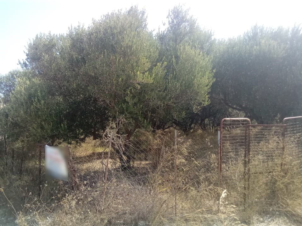 For Sale Land 2500 m² in Crete