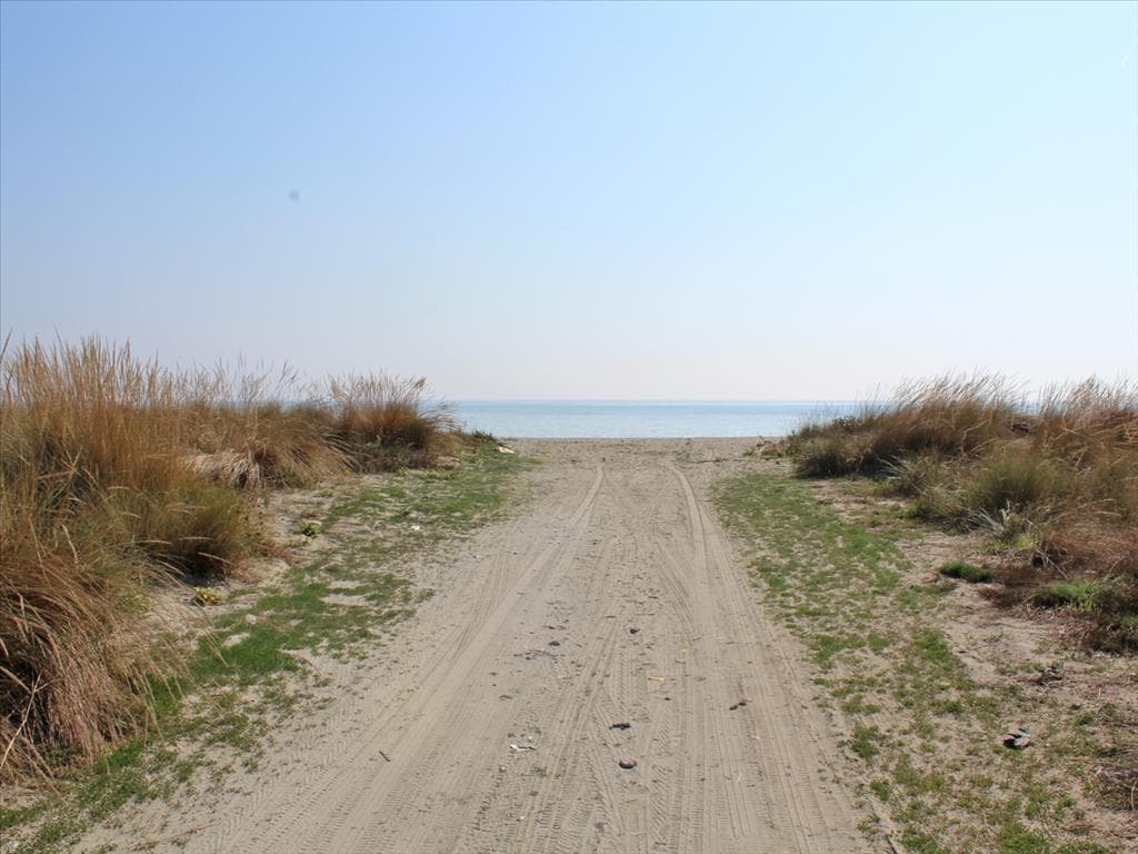 For Sale Land 10000 m² on the Olympic Coast