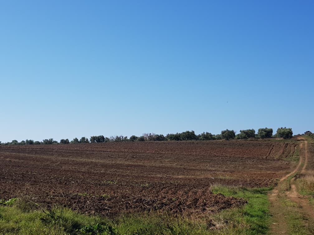 For Sale Land 9250 m² in Kassandra, Chalkidiki