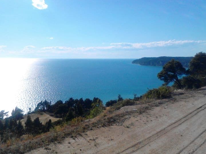 For Sale Land 11875 m² in Kassandra, Chalkidiki