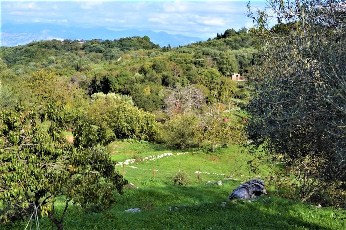 For Sale Land 1210 m² in Corfu
