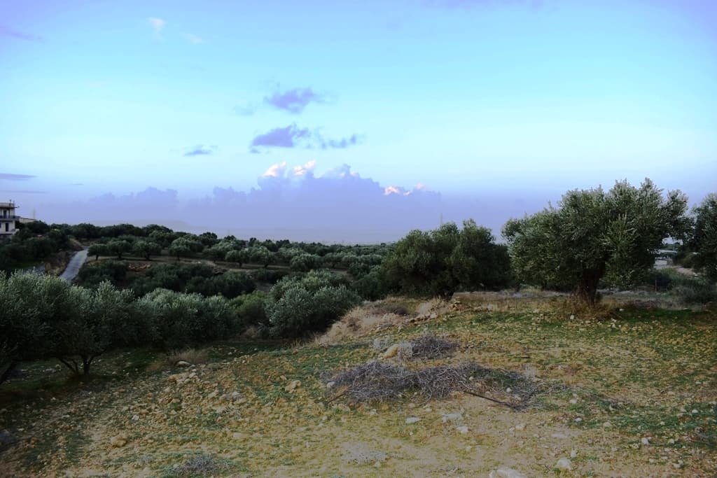 For Sale Land 4500 m² in Crete