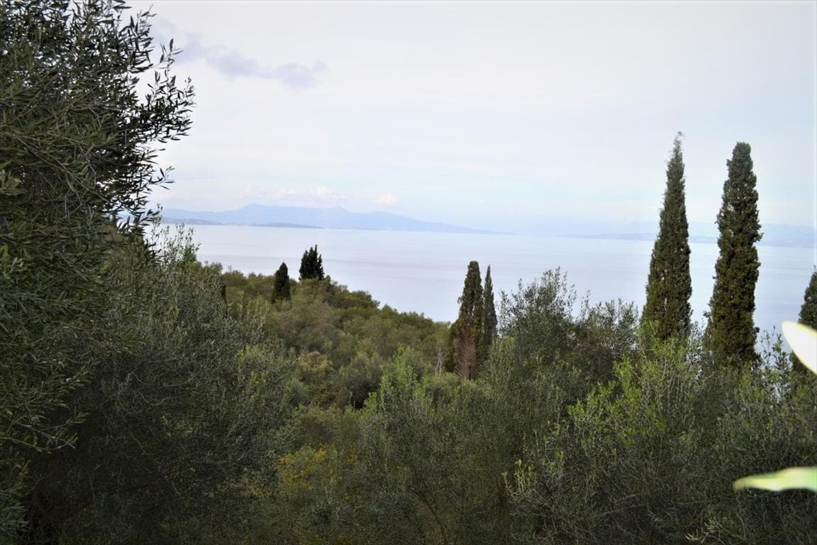 For Sale Land 10000 m² in Corfu