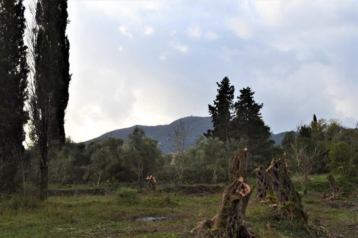 For Sale Land 10000 m² in Corfu
