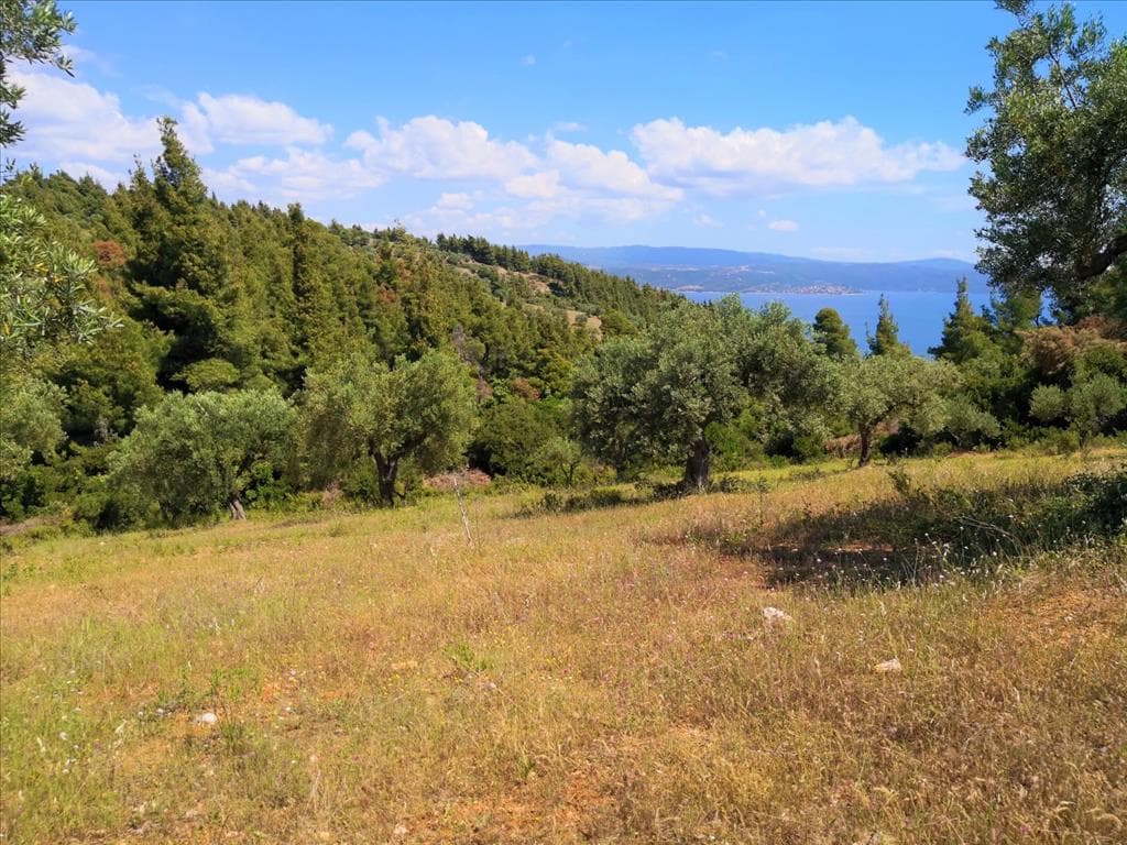 For Sale Land 5400 m² in Sithonia, Chalkidiki