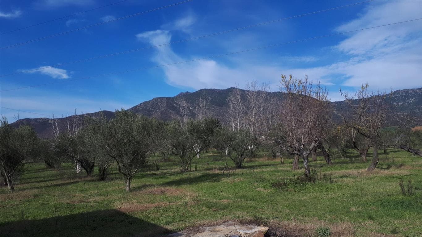 For Sale Land 18250 m² in the suburbs of Thessaloniki