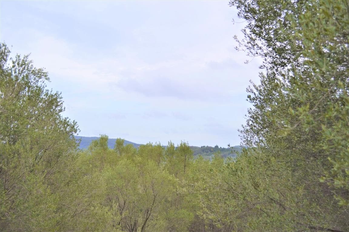 For Sale Land 9500 m² in Corfu