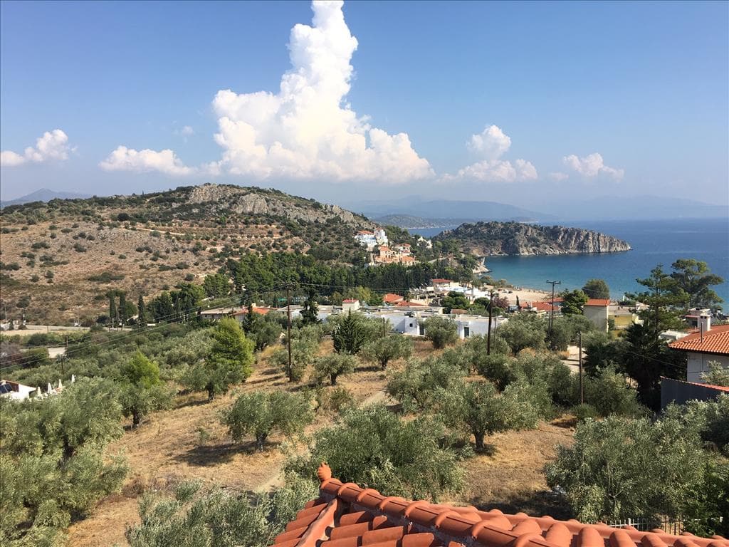 For Sale Land 4751 m² in Eastern Peloponnese