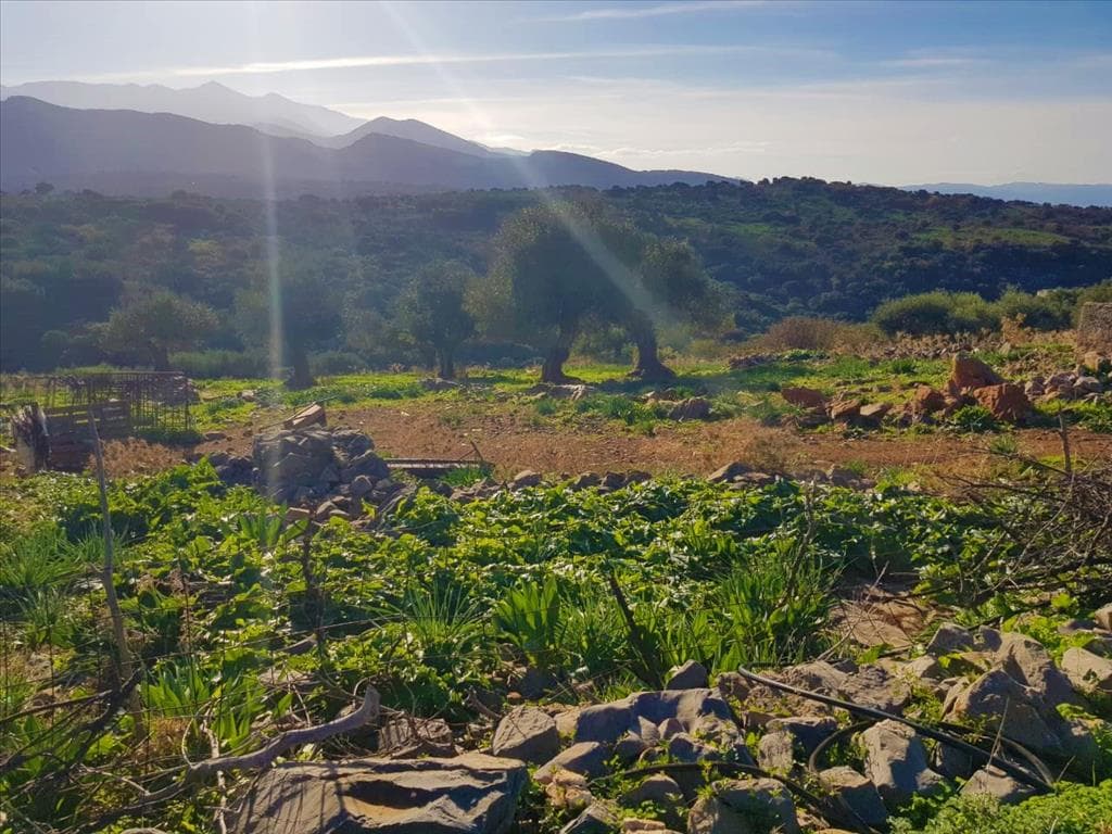 For Sale Land 9519 m² in Crete