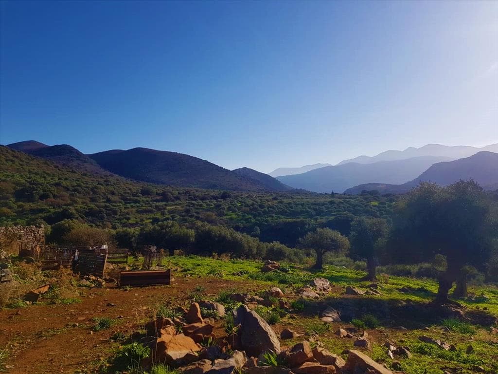 For Sale Land 19700 m² in Crete