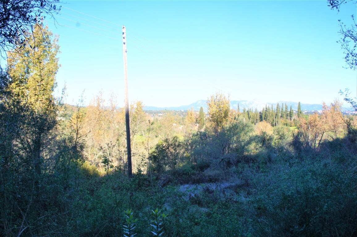 For Sale Land 4000 m² in Corfu
