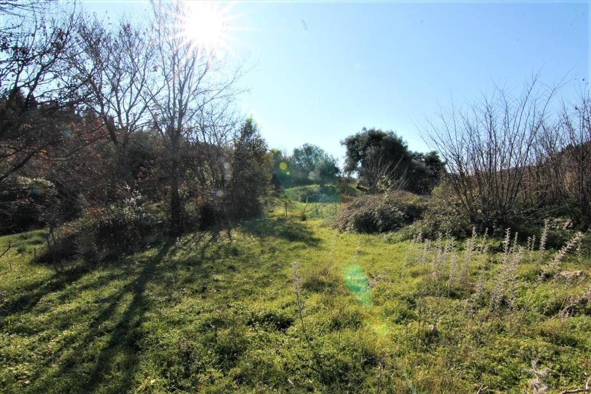 For Sale Land 4600 m² in Corfu