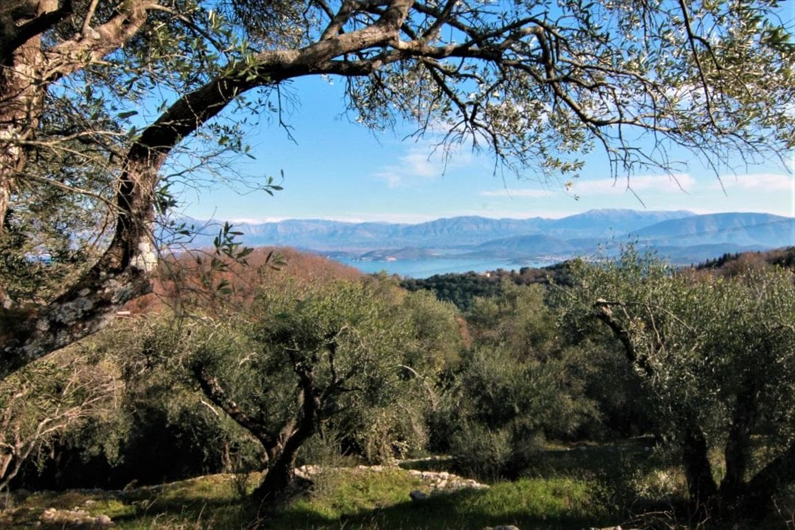 For Sale Land 6000 m² in Corfu