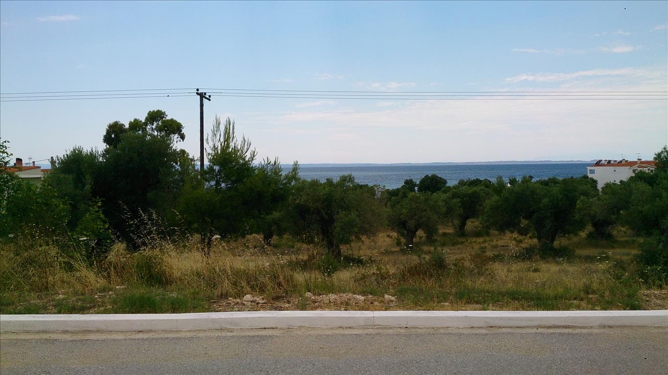 For Sale Land 5658 m² in Sithonia, Chalkidiki