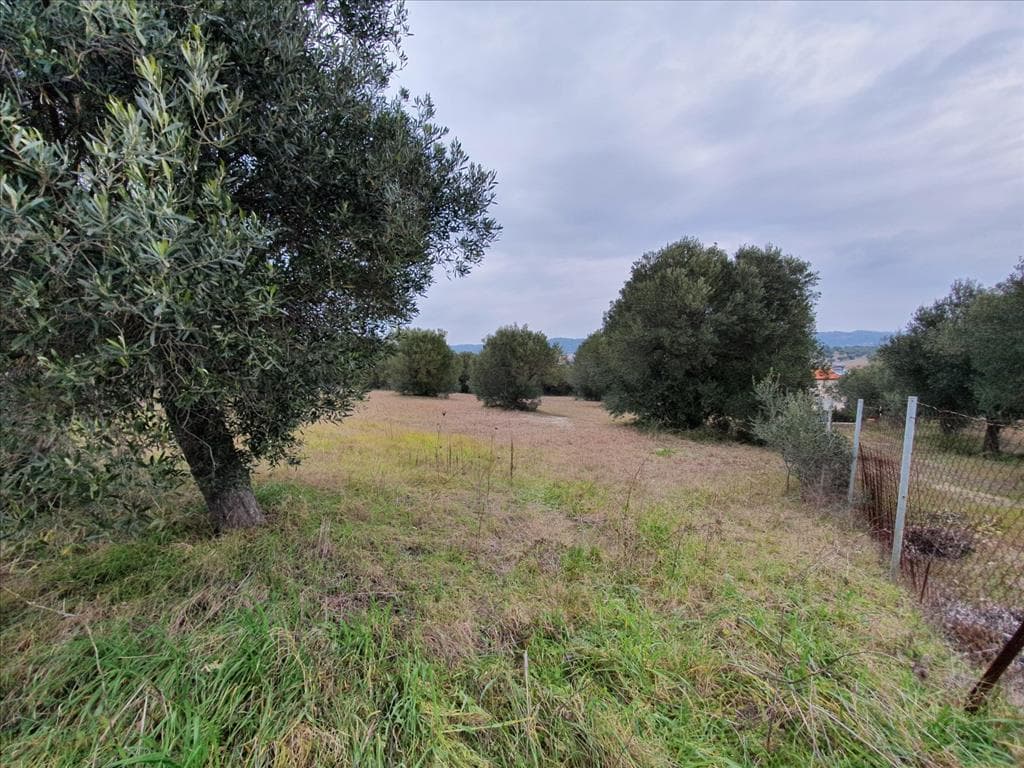 For Sale Land 5500 m² in Kassandra, Chalkidiki