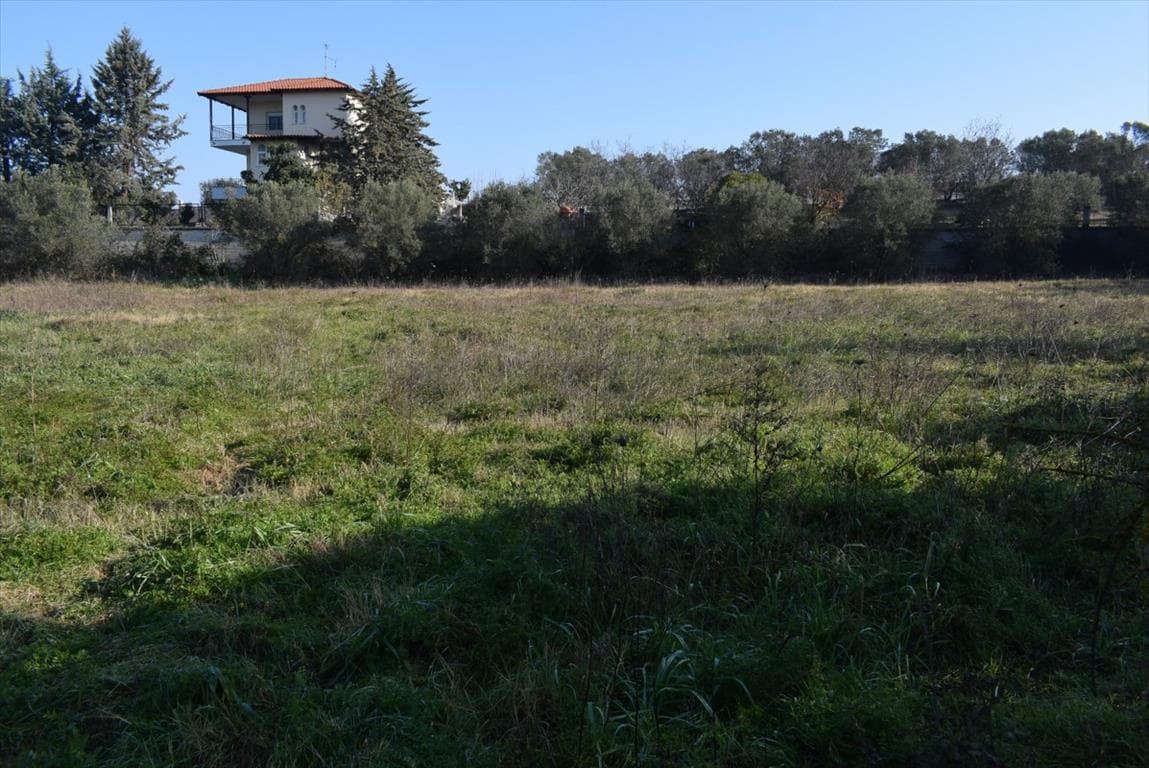 For Sale Land 3000 m² in the suburbs of Thessaloniki