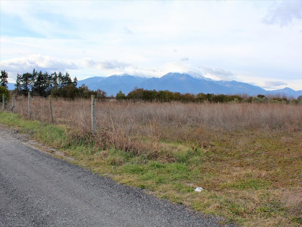 For Sale Land 8484 m² on the Olympic Coast