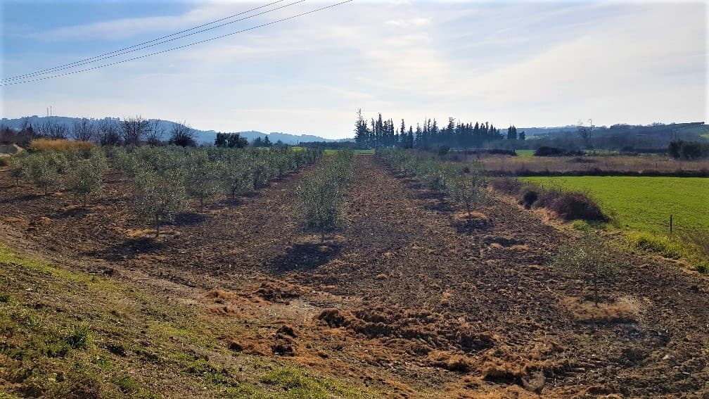 For Sale Land 7100 m² in Kassandra, Chalkidiki